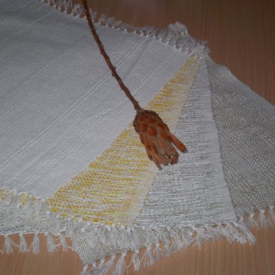 prostírky režné, barevné 35x35cm